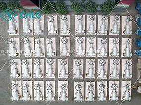 出口沙特阿拉伯｜良固閥門電站閥門交付1800MW聯合循環電站項目